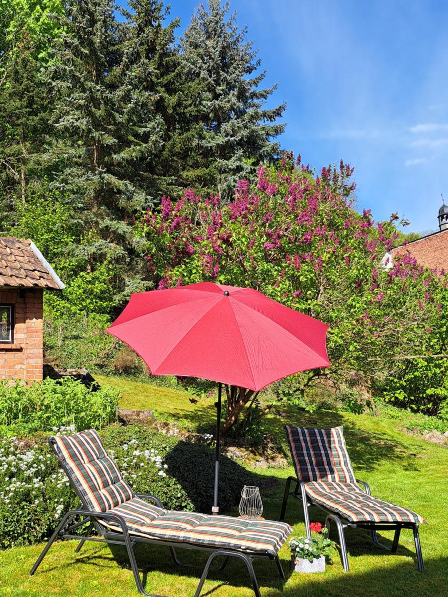 Haus Lieberum Apartment Erdgeschoss Бад-Зоден-Аллендорф Экстерьер фото